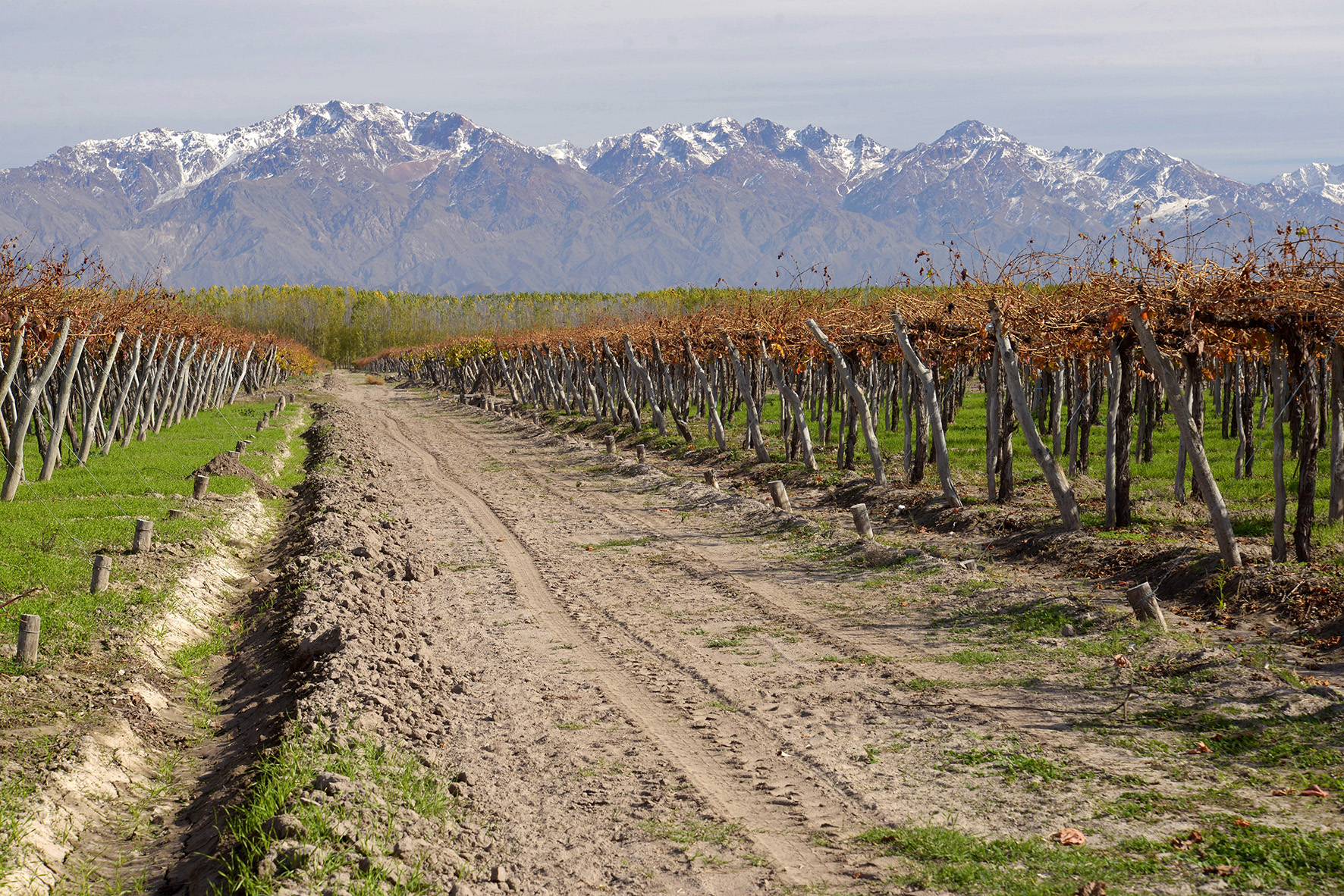 BODEGA RIVIER. Enoturismo